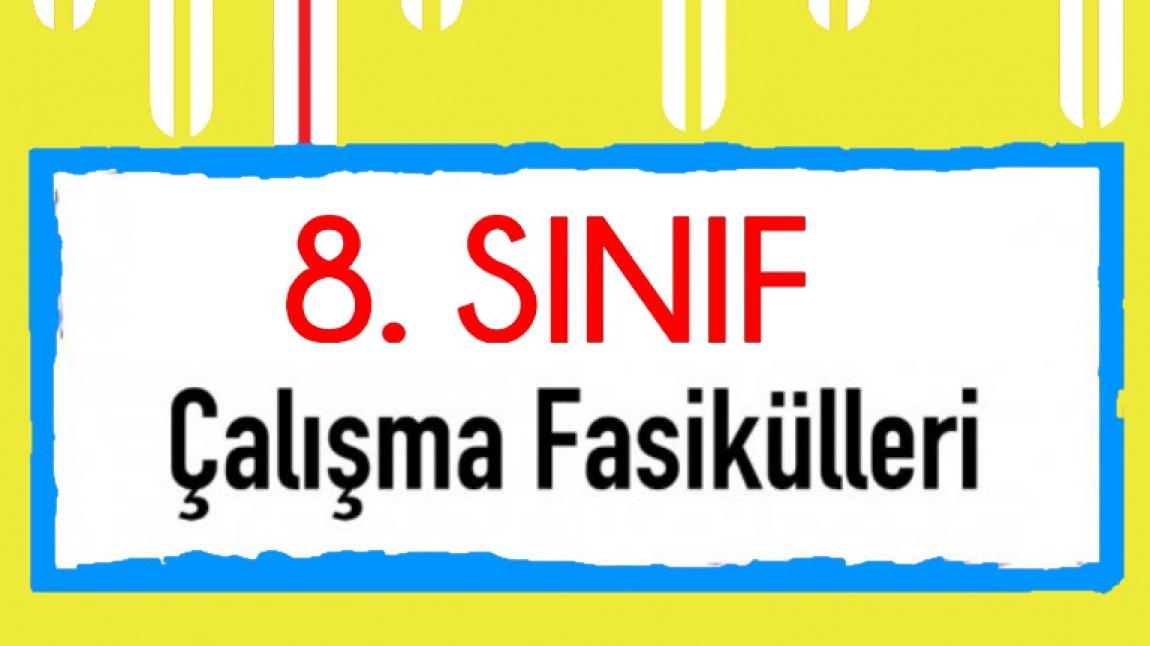 8. Sınıf Çalışma Fasikülleri