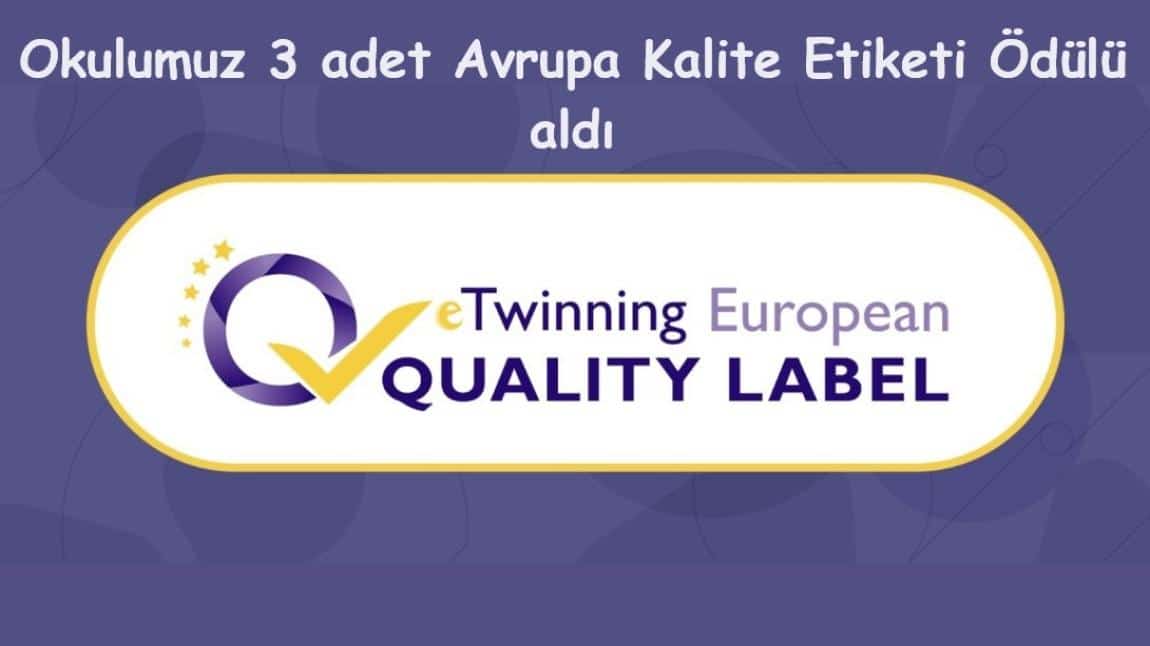 Okulumuz 3 Adet eTwinning Avrupa Kalite Etiketi Ödülü Aldı